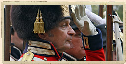 2005 Sights